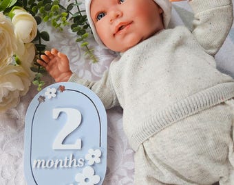 Personalized Acrylic Baby Milestone Markers, Monthly Photo Prop