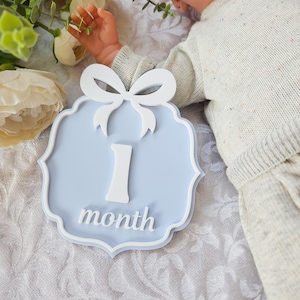 Marqueur d'étape mensuel pour bébé en acrylique, Cartes d'étape importante pour bébé de 1 à 12 mois, Disques d'étape importante pour le mois, Signes du mois personnalisés Acrylique pour bébé