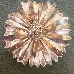 spilla in metallo dorato