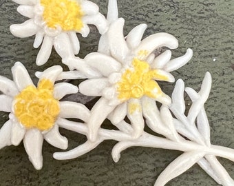 edelweiss plastic brooch