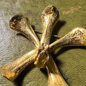 spilla in metallo dorato