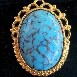 stunning Peking glass brooch