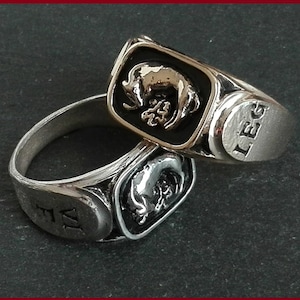 RINGEN VAN DE ROMEINSE LEGIOENEN