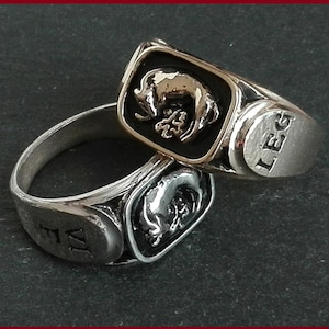 RINGS of the ROMAN LEGIONS