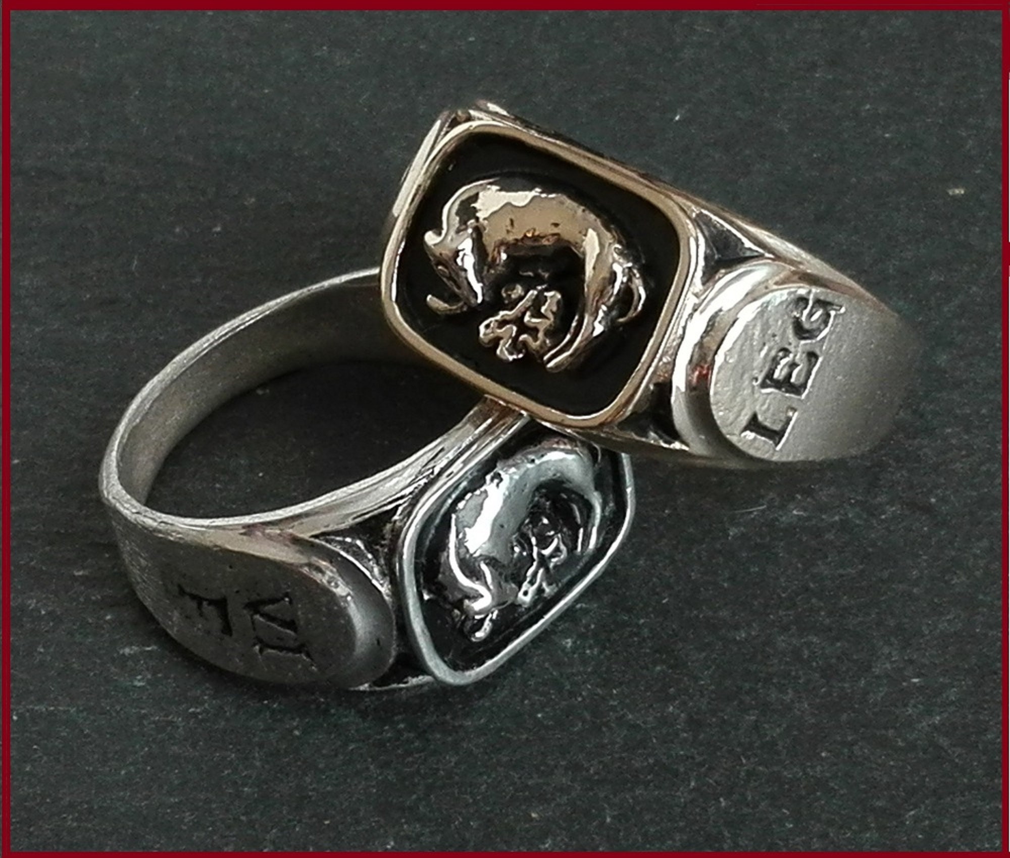 ANNEAUX DES LEGIONS ROMAINES France