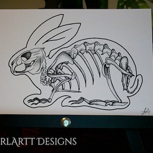 Rabbit Skeleton Print - Etsy