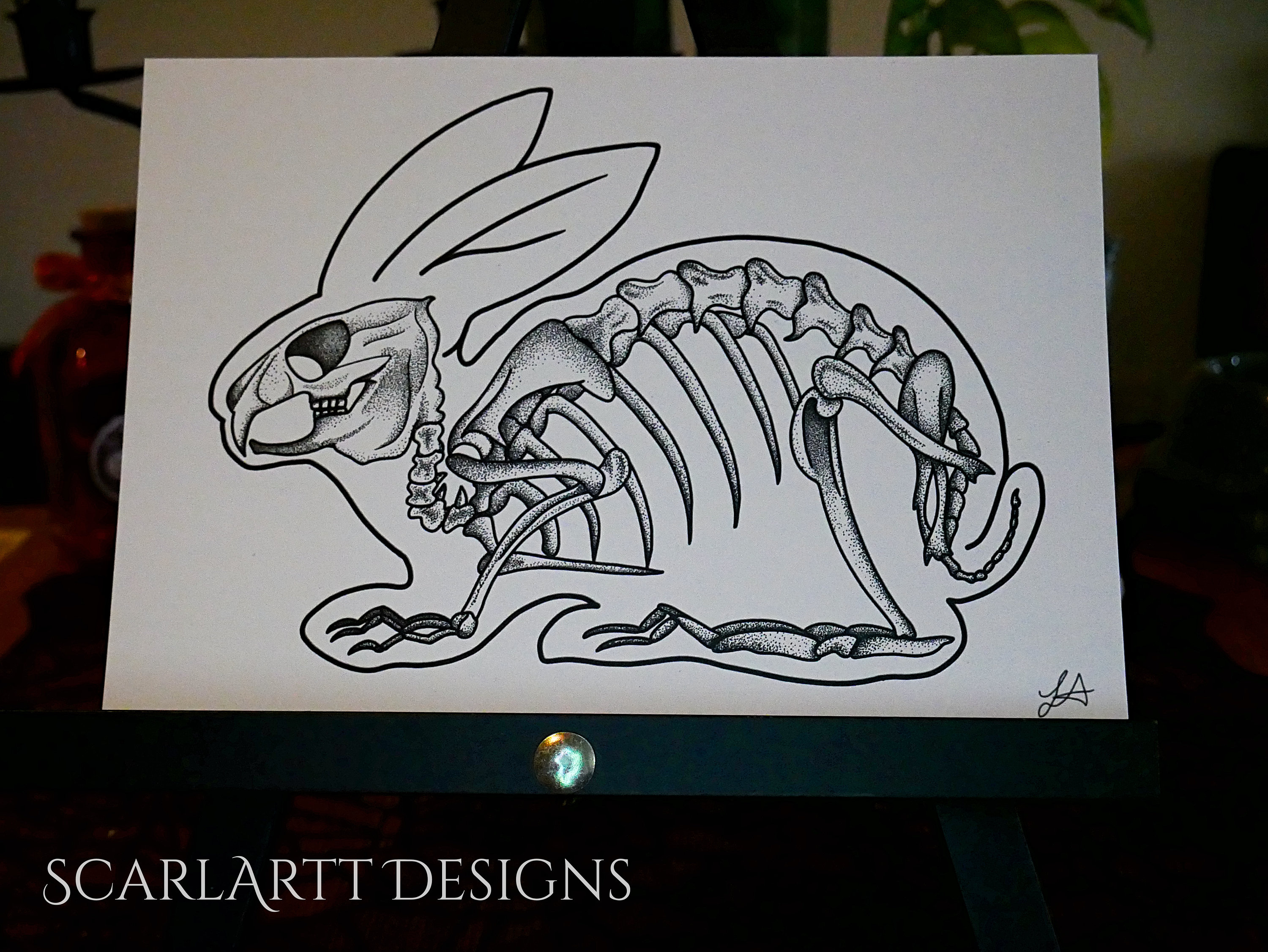 Rabbit Skeleton Print - Etsy