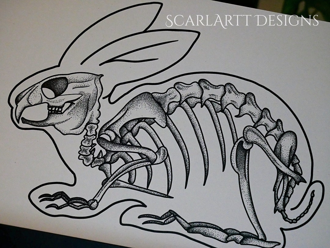 Rabbit Skeleton Print - Etsy