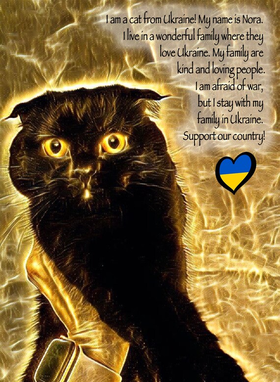 Ukrainian Cat Stay With Ukraine Ukrainian Shop Ukrainian Etsy UK