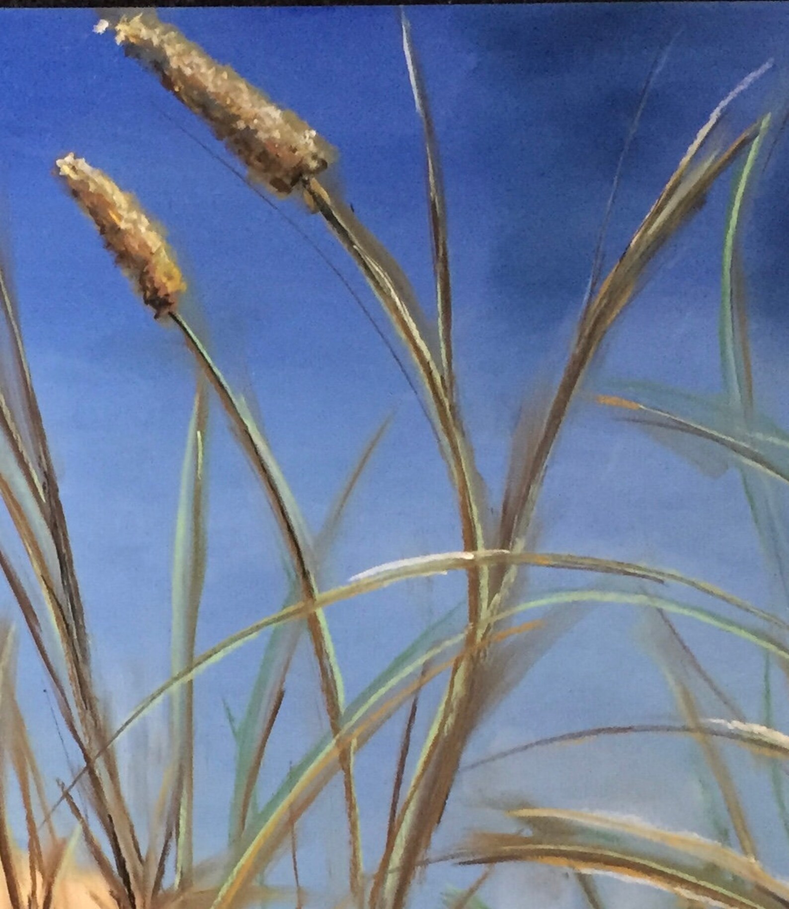 Pastel beach Grass Original on Pastel Paper by Etsy
