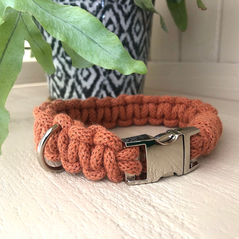 Macram\u00e9 Dog Collar /& Lead