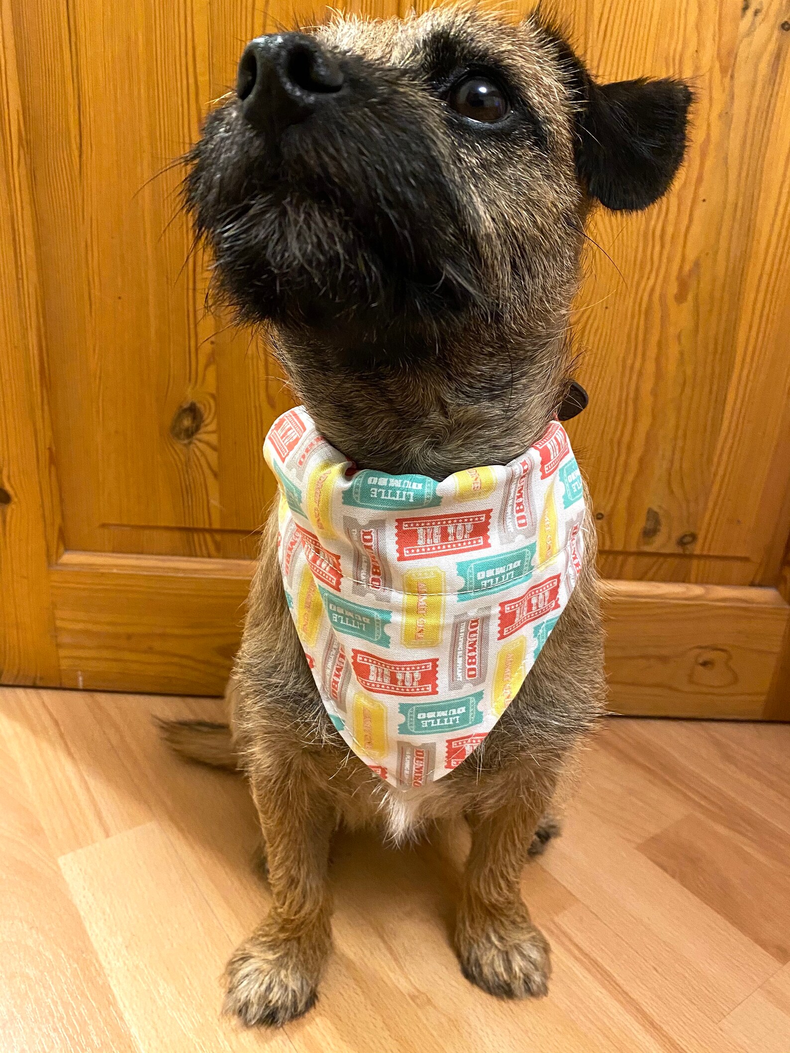 Dumbo Dog Bandana/Disney Dumbo/Pet Accessories/ Dog bandanas Etsy France