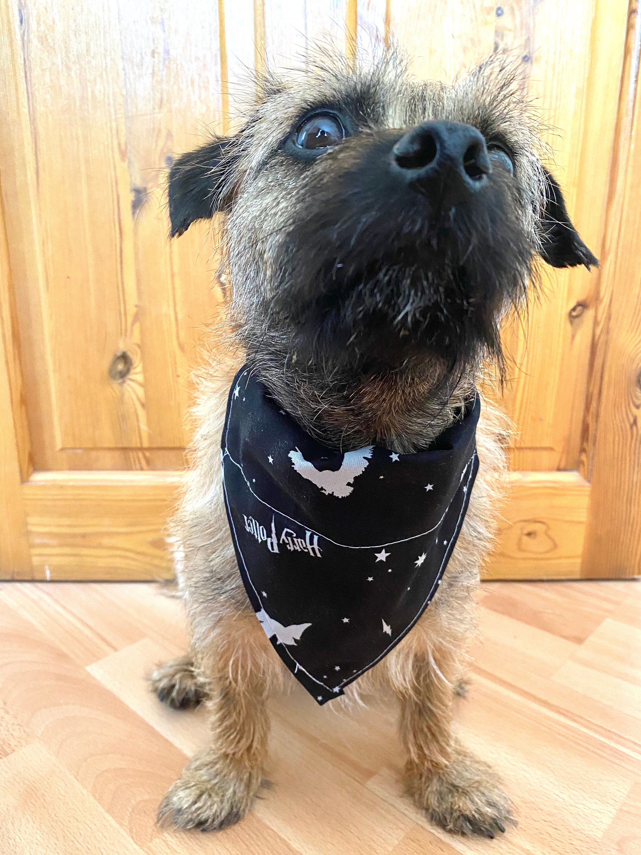 Harry Potter Dog Bandana/Harry Potter/Pet Accessories/ Dog Etsy