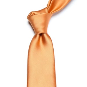 Terracotta Orange Groomsmen Bow tie, tie and pocket square set for weddings