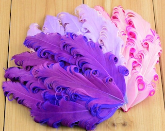 May include: A collection of purple, pink, and lavender feathers with curled edges. The feathers are arranged in a fan shape and are likely for crafting or decorating.