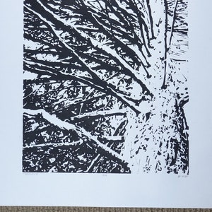 Old Growth Redwood Tree Linocut Print