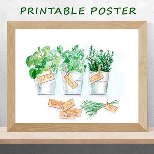 Peut inclure: Peinture à l'aquarelle de six herbes en pot avec des étiquettes manuscrites. Les herbes sont le romarin, l'origan, le basilic, le thym, le persil et l'aneth.