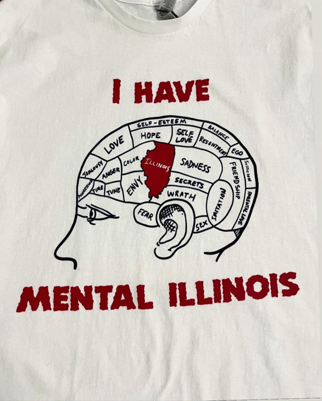 Mental Illinois Illinois Shirt Meme Shirts Iconic Funny - Etsy