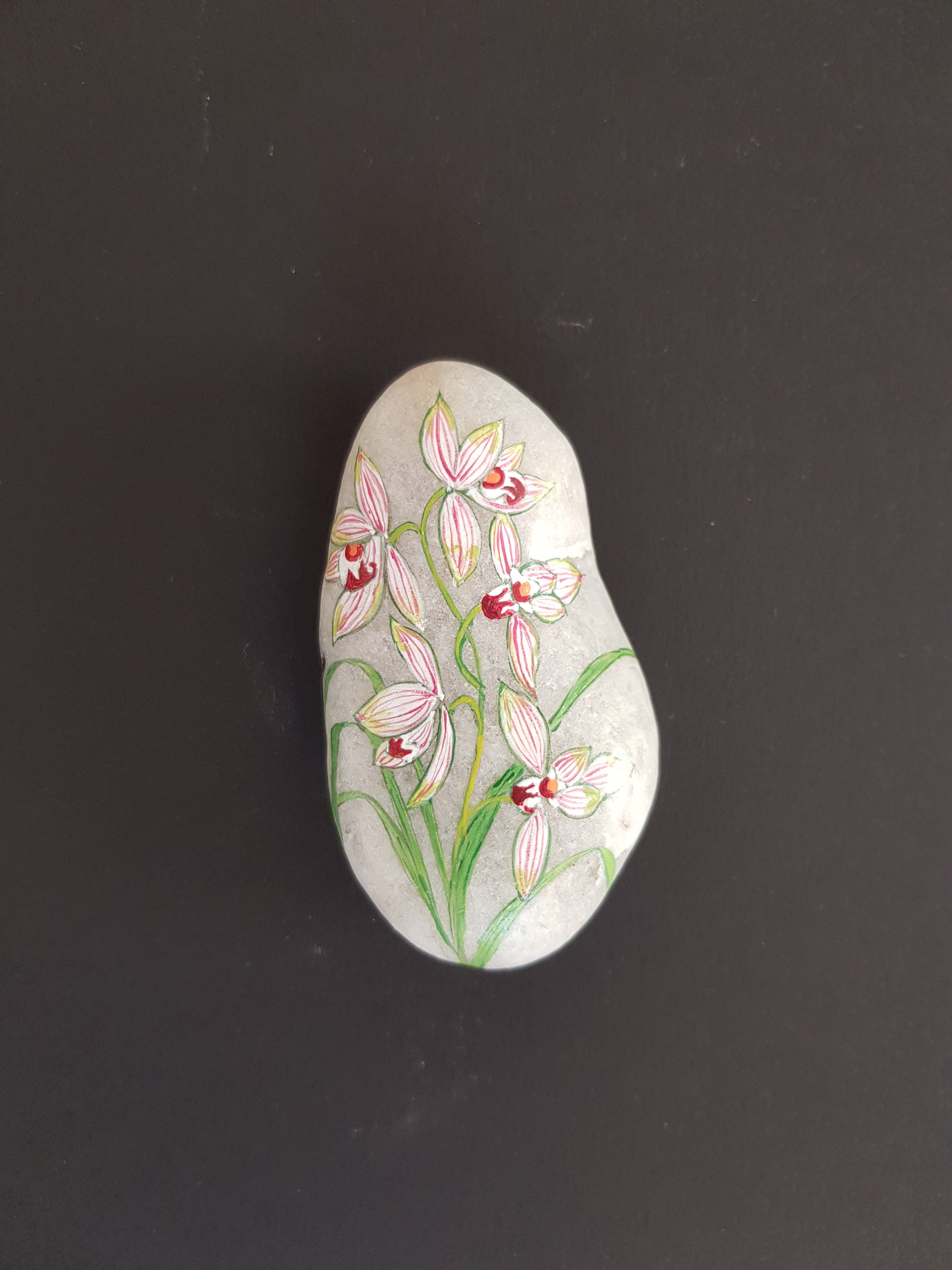 Galet Peint à La Main Orchidée