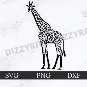 Giraffe SVG | DXF | PNG | Cricut Cut File | Silhouette Cut File | Digital Download | Custom Cut File | Intricate Weeding | Safari | Savannah