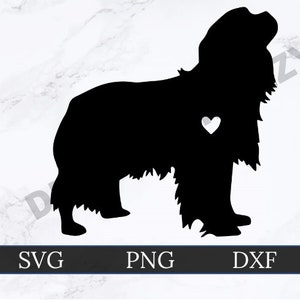 Cavalier King Charles Spaniel SVG | DXF | PNG | Arquivo de corte Cricut | Arquivo de corte de silhueta | Download digital | Arquivo de corte personalizado | Coração de cachorro