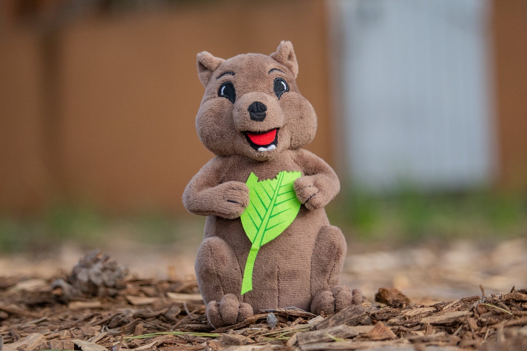 Stuffed Quokka Animal Quokka Plush Toy Light Weight Etsy Australia