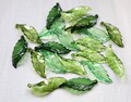 20 PCS 40mm Long Green Leaf Beads. large lucite leaf beads. crystal green acrylic leaf charm. big leaf beads. jewelry making supply product logo