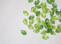 50 PCS Small Green Leaf Beads. small lucite leaf beads. green leaf beads. mini leaf beads. small bell flower acrylic leaf product logo