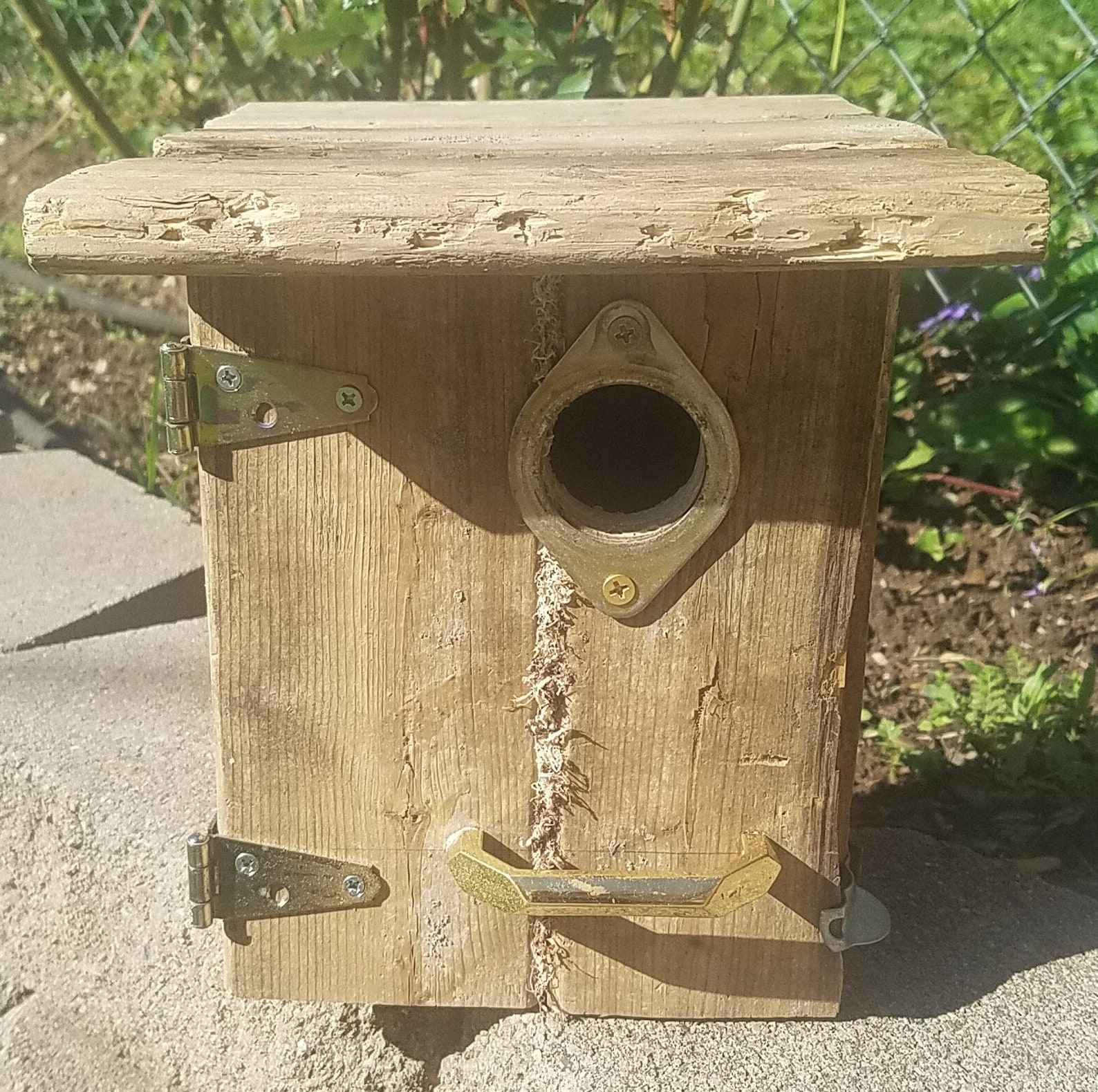 Outhouse Birdhouse 9 Hand Crafted Quality Birdhouses Etsy