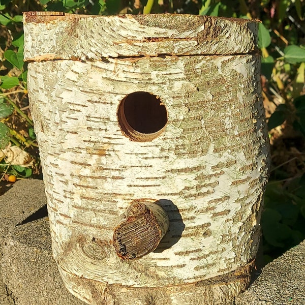 White Birch Hollow Log Birdhouse - Hand Crafted Quality Birdhouses- Unique, Fun, Quirky