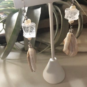 May include: A pair of earrings with clear crystal and shell accents. The earrings are hanging from a white stand.