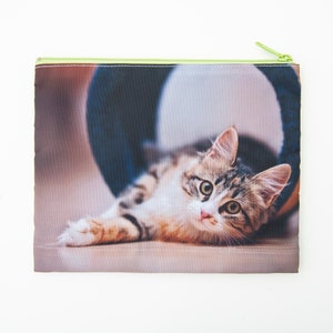 May include: A zippered pouch with a colorful image of a tabby cat looking at the camera. The cat is lying on a wooden floor with a blue and white cat tunnel behind it.