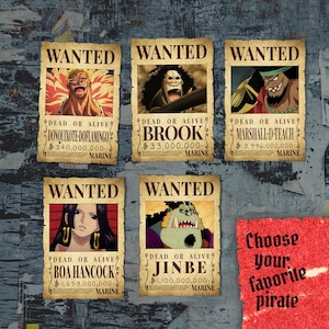 Anime One Piece Wanted Poster: FanArt Canvas Scroll (12x18in) image 4