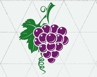 Download Grape Vine Svg Etsy