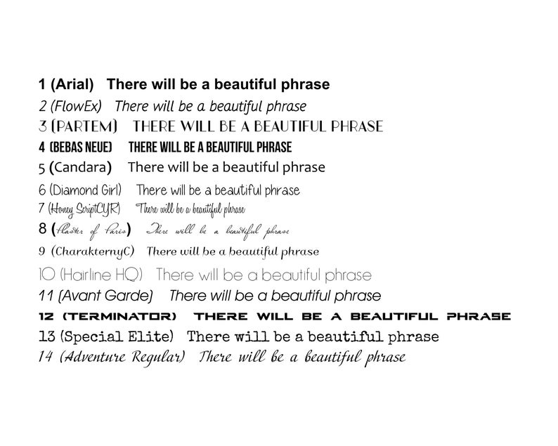 May include: A white background displays text samples in various fonts. Each sample includes the phrase "There will be a beautiful phrase." The fonts are numbered and labeled, showcasing different styles for design or typography projects.