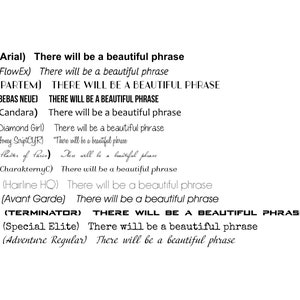 May include: A white background showcases text samples in various fonts. Each sample includes the phrase "There will be a beautiful phrase." The fonts are labelled with numbers and names, demonstrating different styles for design projects.