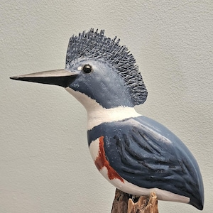 Belted Kingfisher -wood carved