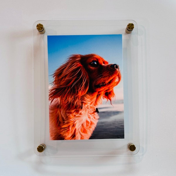 Modern Floating Clear Acrylic Frames - Round Corners