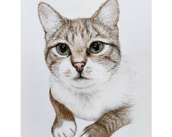 Hand painted Pet Portrait | Original Pet memorial | Personalised Watercolour Painting | Custom Cat Painting | Pet from photo | wall decor