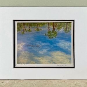 Puede incluir: Una fotografía enmarcada de un cielo azul reflejado en una masa de agua con árboles reflejados en el agua. El texto "WATER REFLECTIONS" está impreso debajo de la imagen.