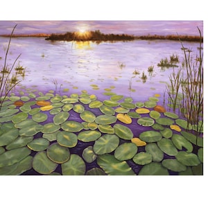 Everglades Evening art print. Sunset over the Everglades at Loxahatchee National Park in Florida.