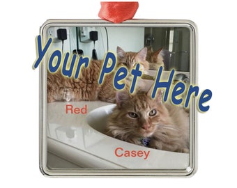 Personalized Pet Photo Holiday Ornament: Custom Pet Gift