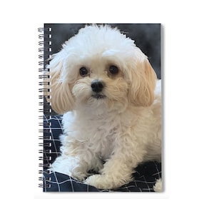 May include: Spiral-bound notebook featuring a fluffy, cream-colored dog with dark eyes. The dog is lying on a navy blue and white checkered blanket. The notebook's spiral binding is visible on the left side.