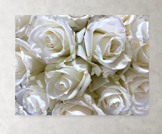 Roses blanches imprimées sur toile tendue. Art des roses - Etsy Canada
