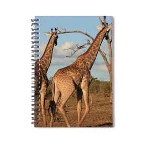 Giraffe Family spiral notebook. Safari Lover&#39;s notebook. Jungle Animals notebook. Giraffe Lover&#39;s gift
