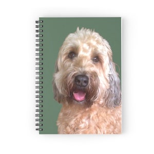 May include: A soft coated wheaten terrier dog with a light brown coat and a happy expression. The dog is looking directly at the camera against a green background.