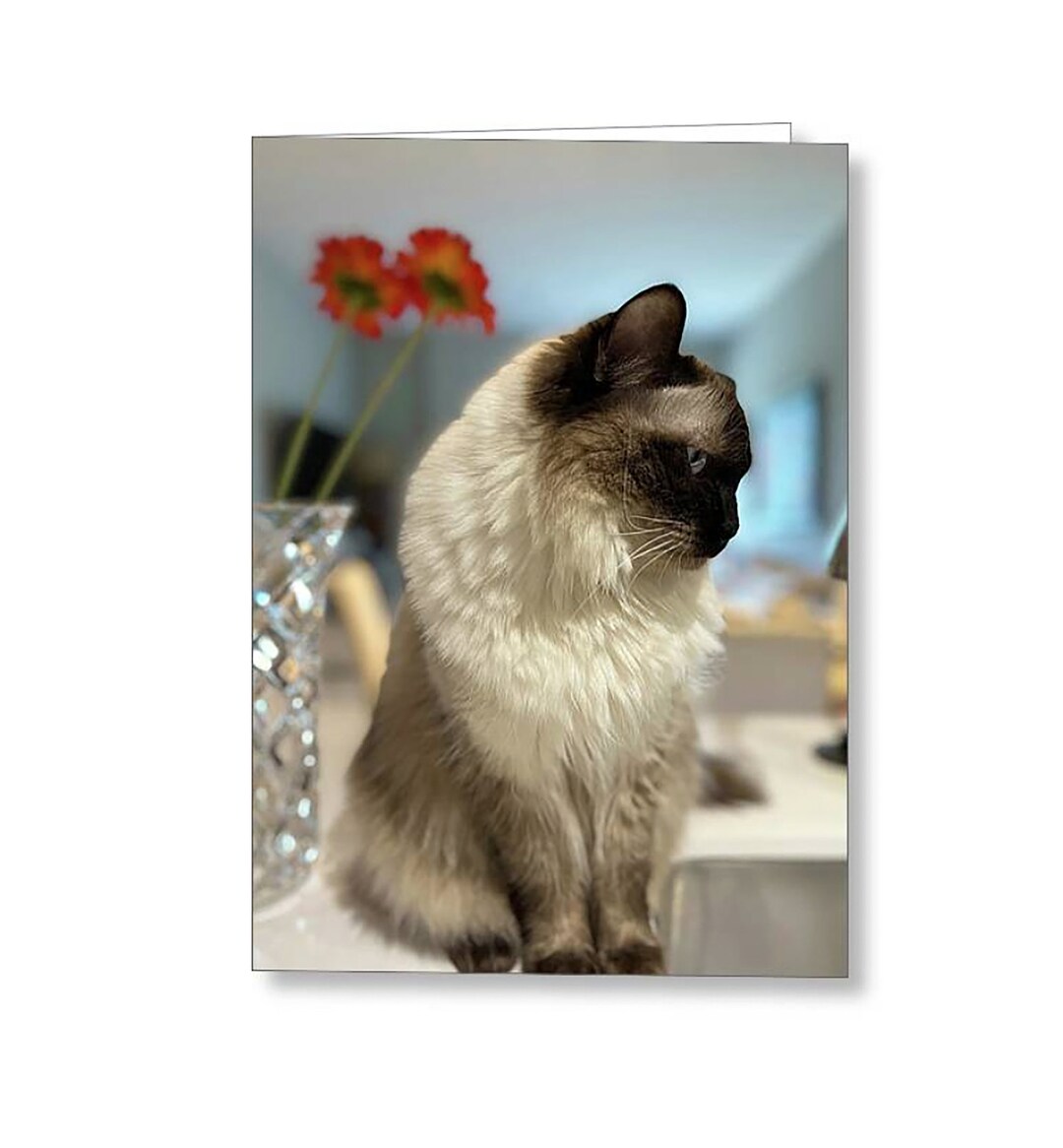 Grußkarte Ragdoll Katze – Aquarell-Portrait, 17,5x12,5 Cm, Mit Umschlag – Für Geburtstag, Frau, Katzenliebhaber