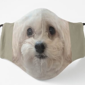Maltipoo Face Mask: Button Nose, Adjustable, Washable Polyester