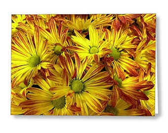 Yellow Daisies Greeting Card. Chrysanthemums with Green Centers. Yellow Petals with Orange Fringe Fall Greeting Card. Card for Floral Lovers