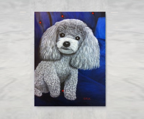 Silver teacup cheap poodle
